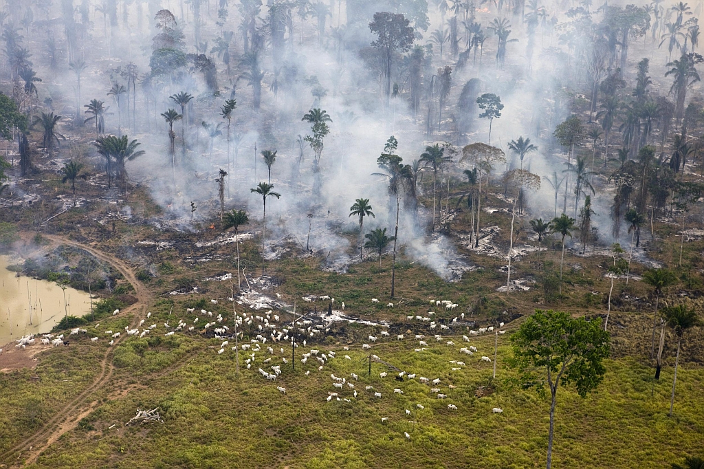Queimada na Amazônia para derrubar a mata e abrir espaço para o pasto | Daniel Deltra/Reuters