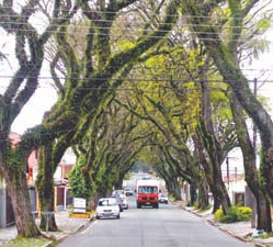 | Ivonaldo Alexandre/GP