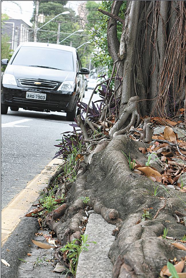| Marcelo Elias/ Gazeta do Povo