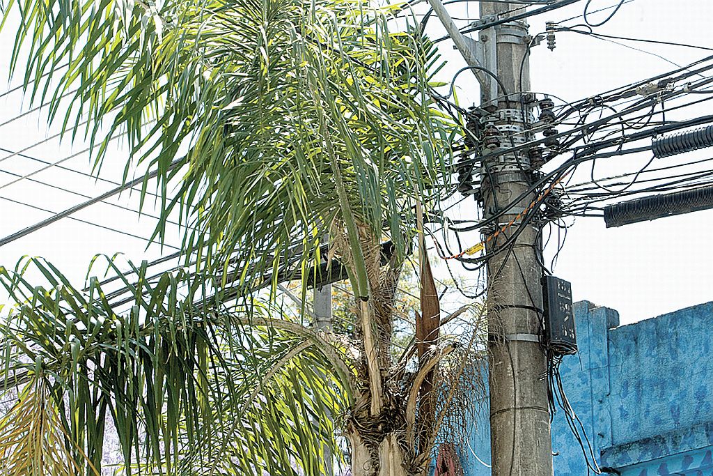  | Marcelo Elias/Gazeta do Povo