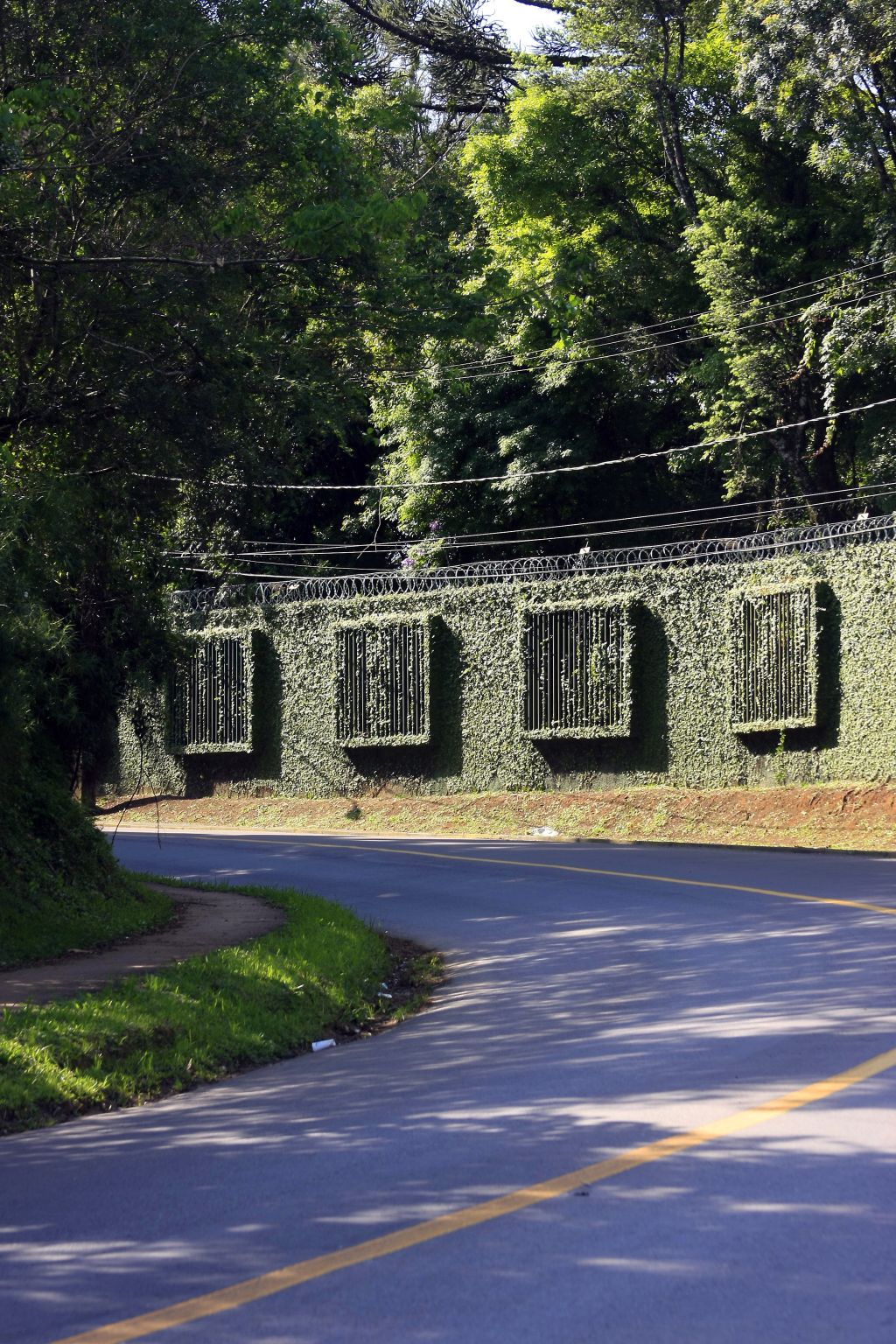 Rua Eduardo Sprada: os condomínios de luxo, repletos de área verde, dominam o perfil imobiliário de bairros como o Campo Comprido e seus vizinhos | Daniel Dereveck / Gazeta do Povo