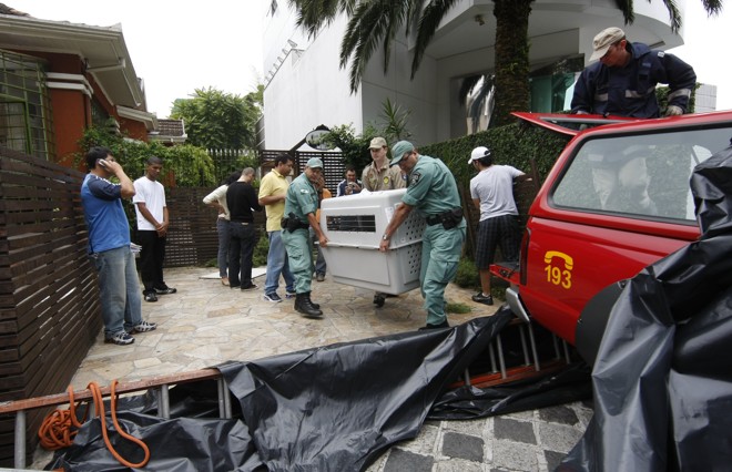 Curiosos acompanharam todo o trabalho do Corpo de Bombeiros |