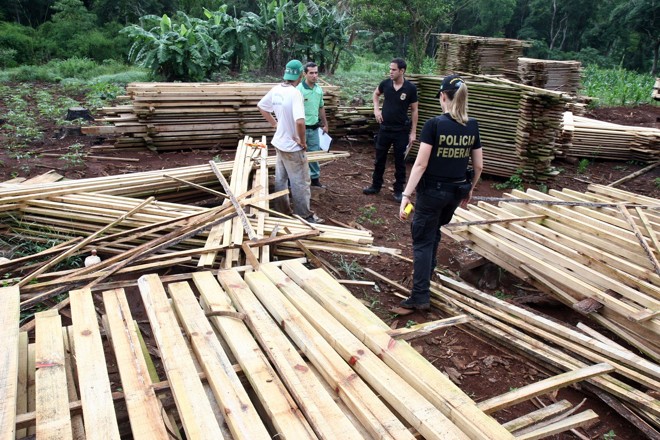 A quantidade de madeira apreendida ainda não foi contabilizada | 