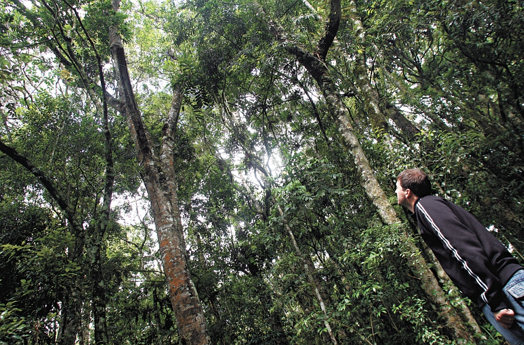Técnico da SPVS visita área adotada por cinco anos pela Ong Lupaluna, em Piraquara | Priscila Forone/Gazeta do Povo