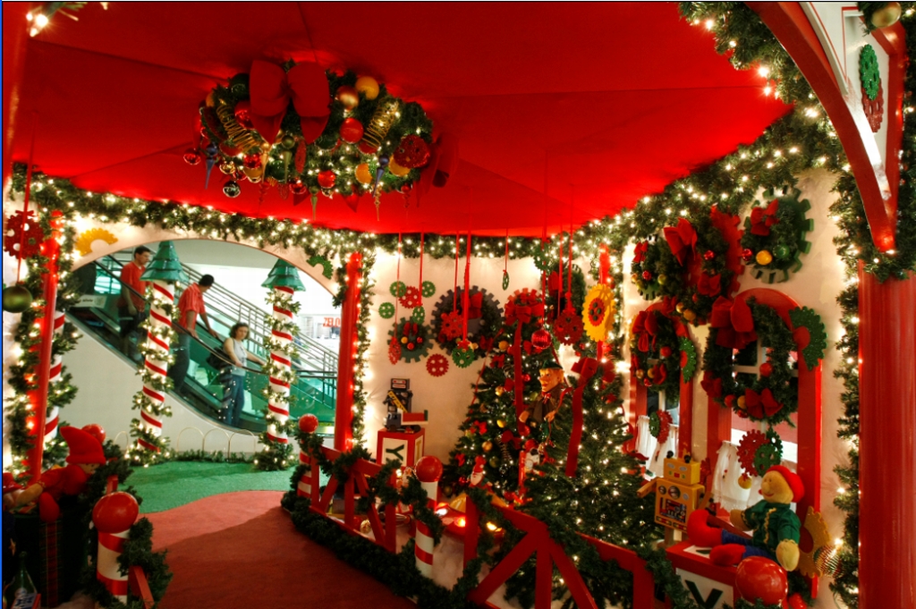 Foto: Rodolfo Bührer/ Gazeta do Povo |