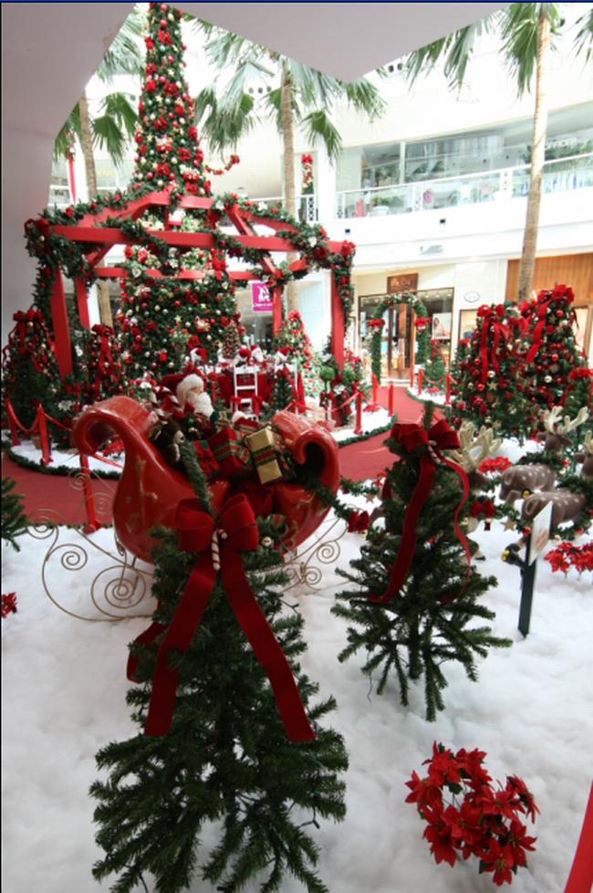 | Aniele Nascimento/ Gazeta do Povo