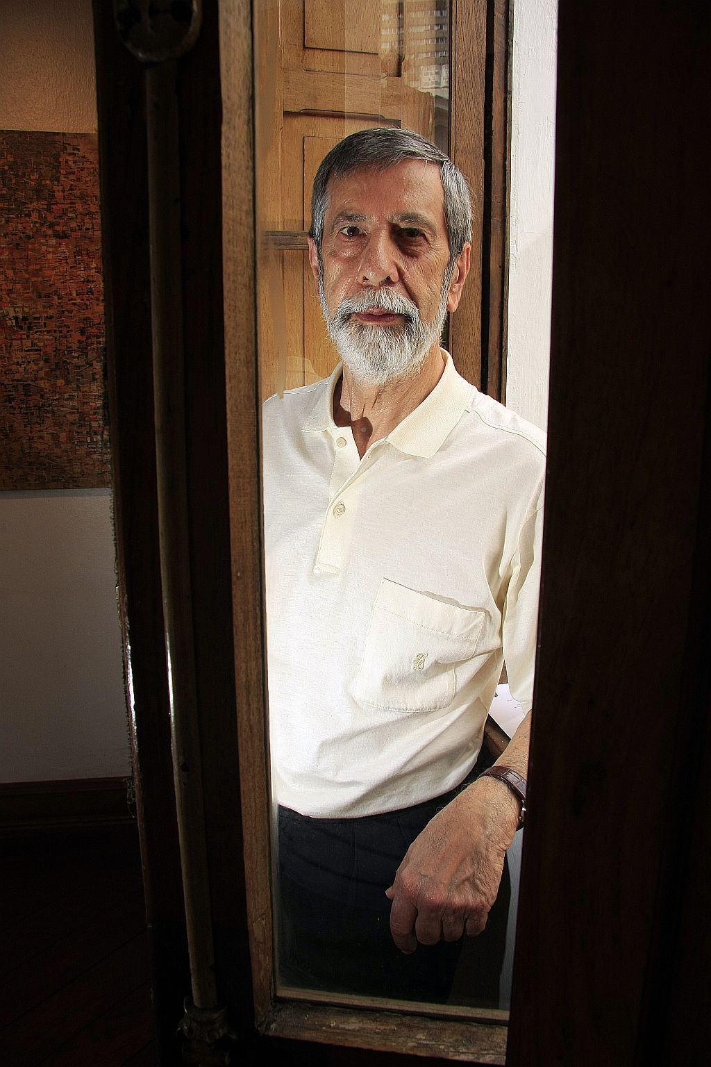 Domício Pedroso diz que sempre teve liberdade total para criar suas telas | Daniel Derevecki/Gazeta do Povo