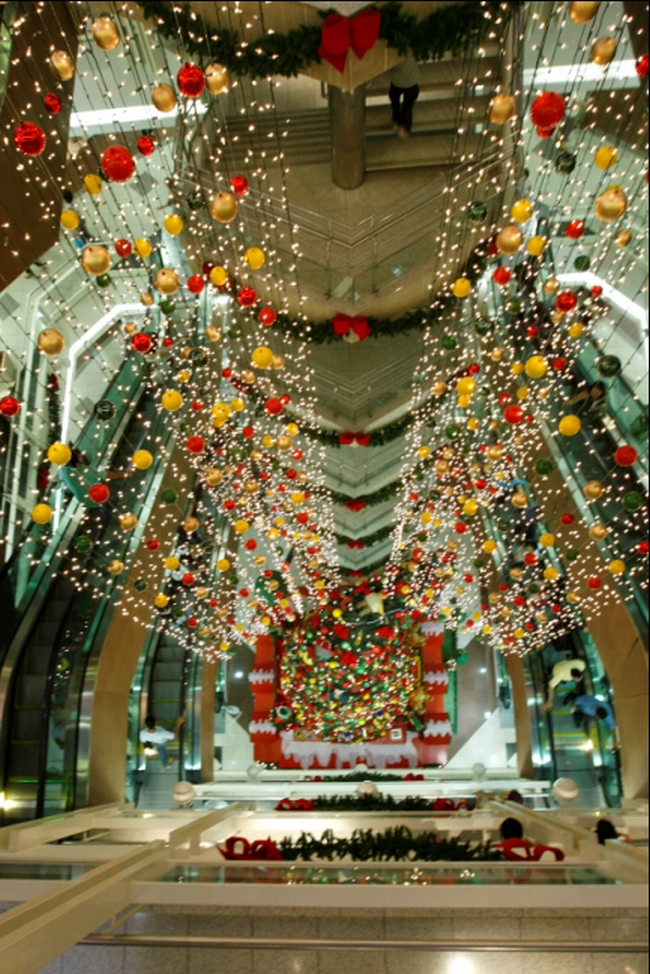 | Foto: Rodolfo Bührer/ Gazeta do Povo