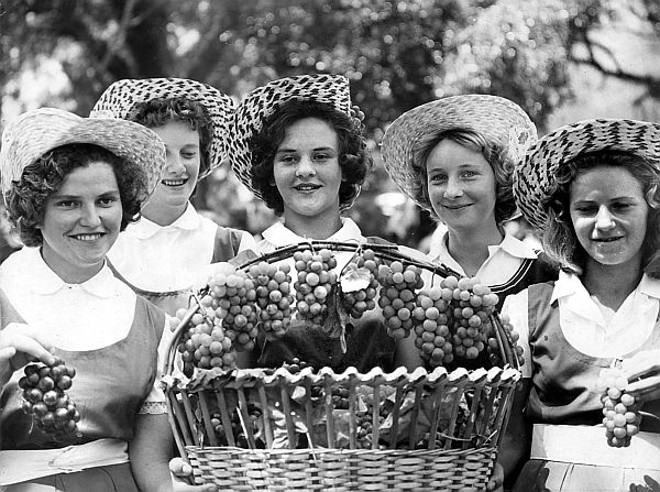 Moças de origem italiana em festa da uva. Década de 1960 |