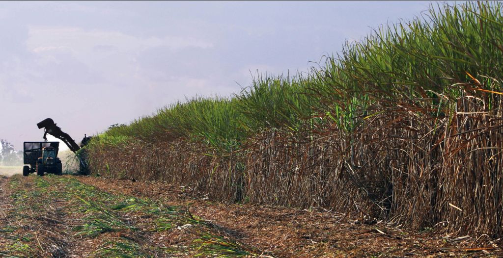 Colheita de cana foi afetada pelas chuvas e tem impacto no preço final do etanol | Nelson Almeida/AFP