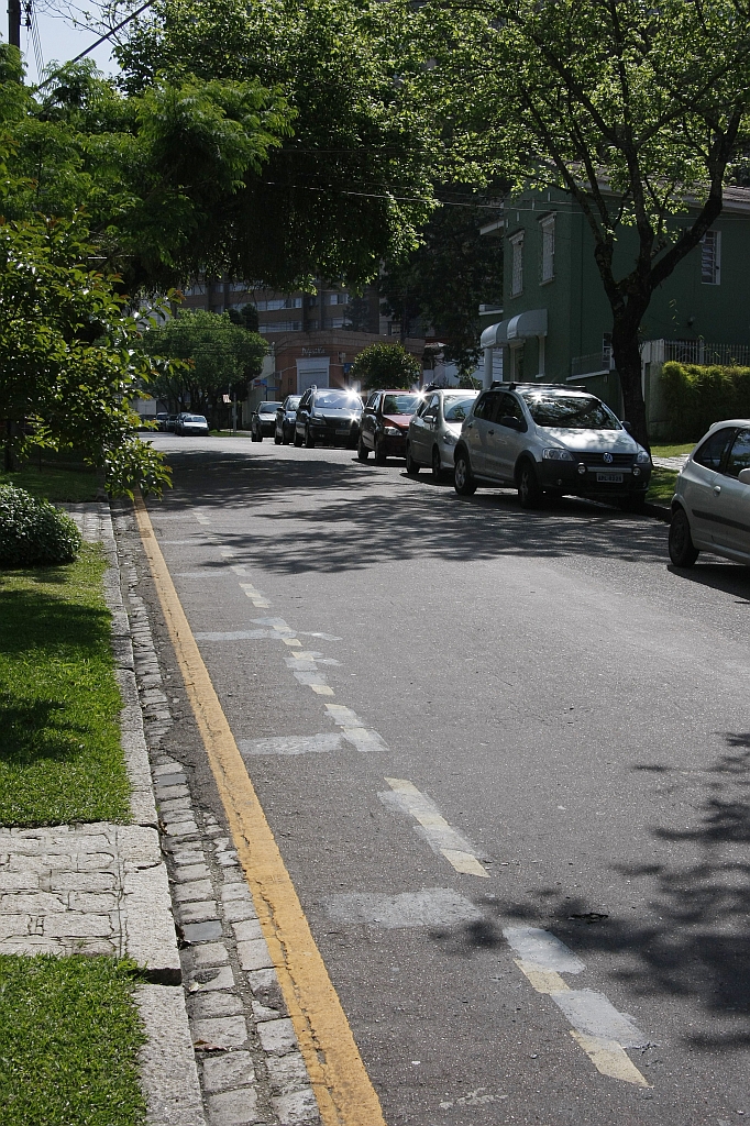 Ciclofaixa improvisada foi protesto realizado no Dia Sem Carro, há dois anos | Daniel Derevecki/Gazeta do Povo