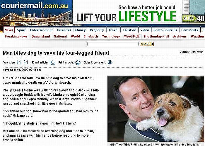 Phillip Lane com seu cãozinho de estimação "Buddy" | Reprodução/Courier Mail