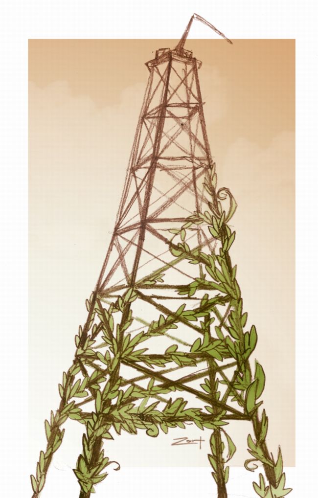 Queremos que a comunidade internacional entenda a necessidade de proteger a área.
Esperanza Martínez, coordenadora da ONG Amazonía por la Vida |