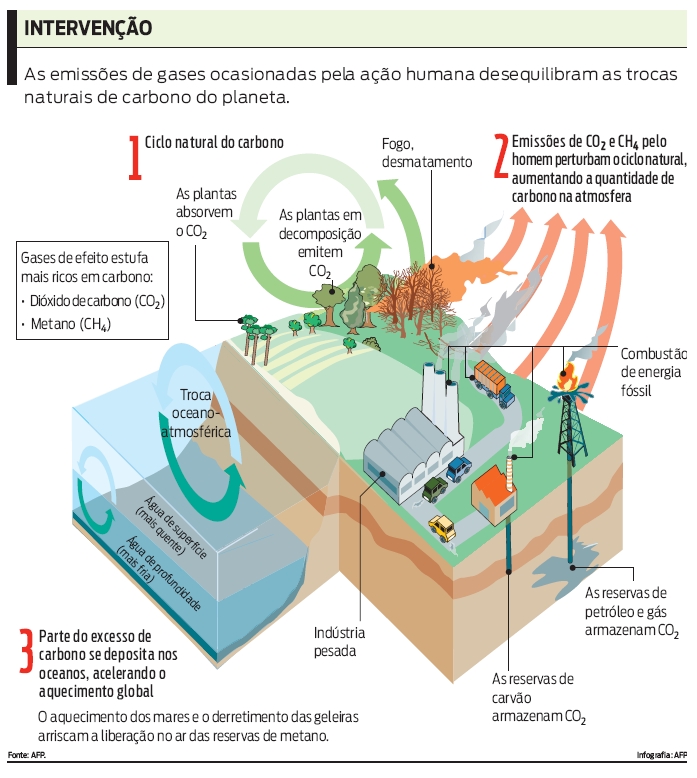 Entenda como as emissões de CO2 prejudicam o meio ambiente |