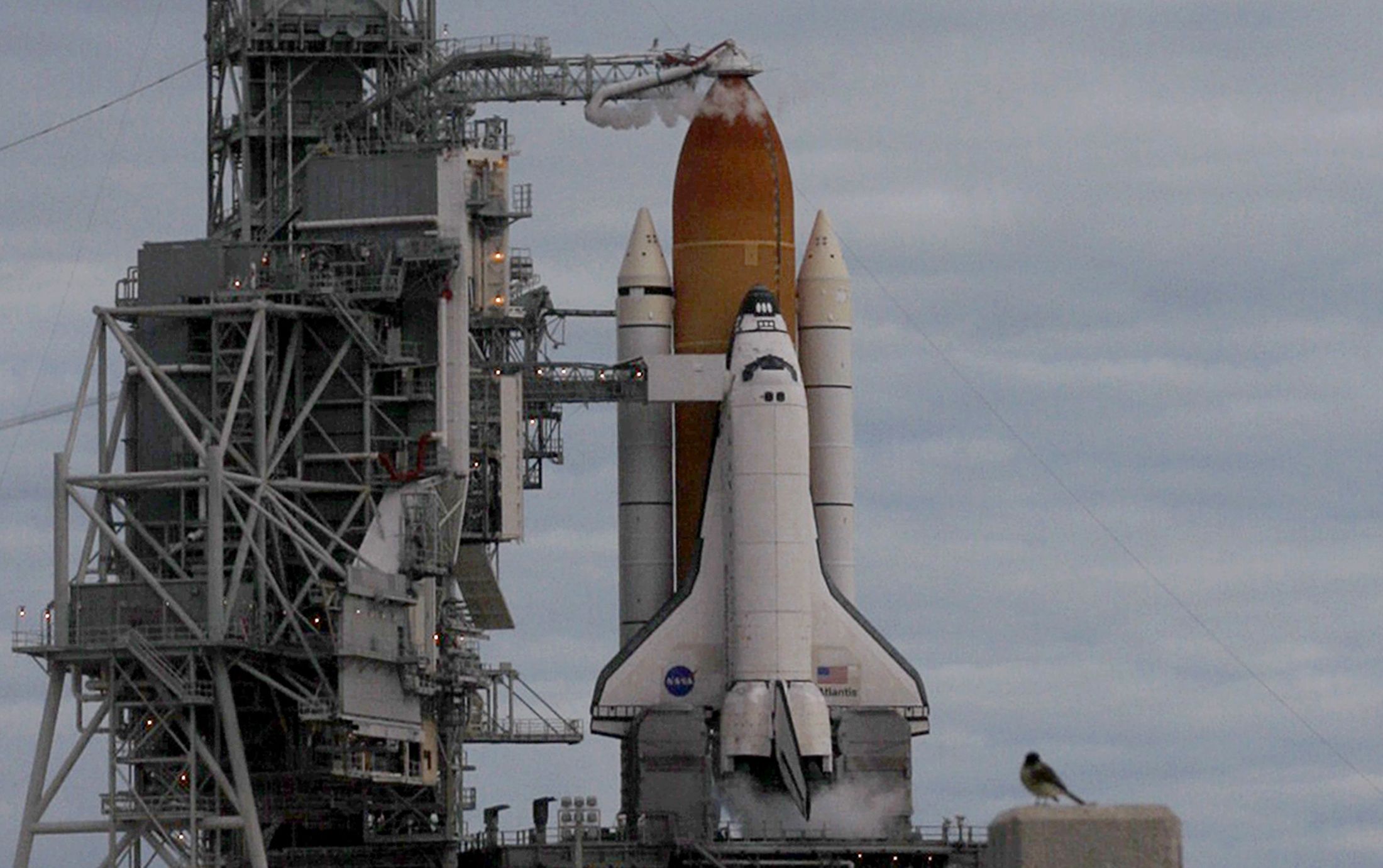 | REUTERS/Scott Audette