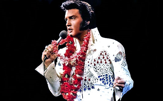 O cantor Elvis Presley | Divulgação