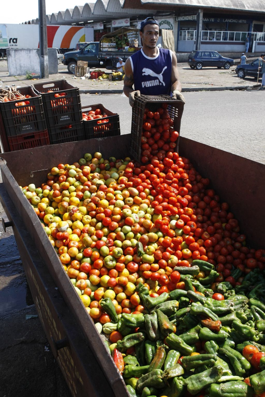 Na Ceasa, o Banco de Alimentos repassa comida não vendida a cerca de 500 instituições de solidariedade. Mesmo assim, 150 toneladas vão ao lixo todos os meses só em Curitiba | Jonathan Campos/Gazeta do Povo