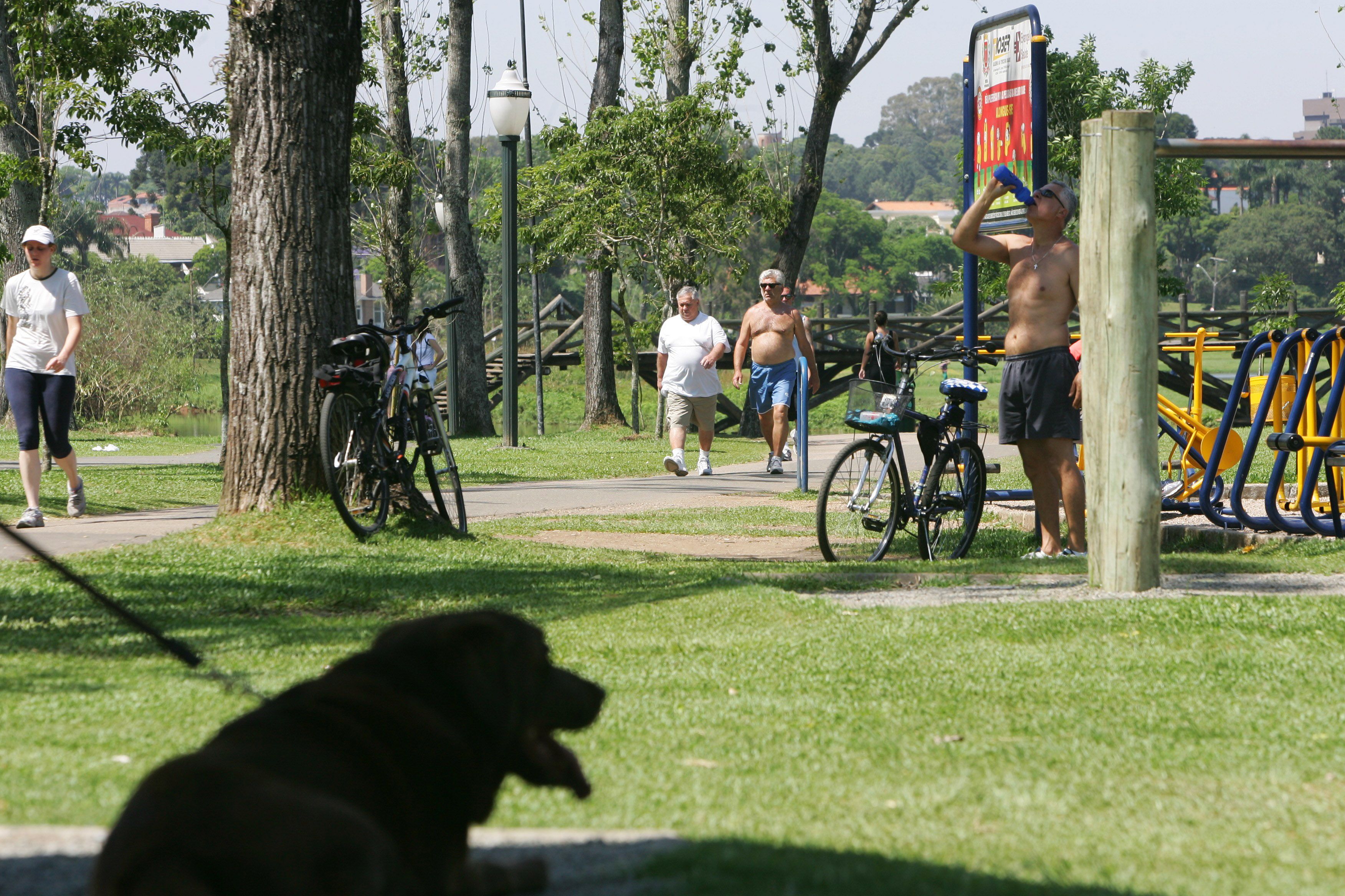 Não há previsão de chuvas para a cidade, e os ventos serão fracos ou moderados | Daniel Castellano / Agência de Notícias Gazeta do Povo
