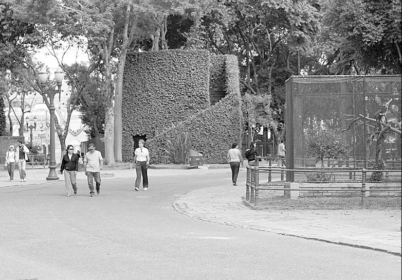 | Aniele Nascimento/Gazeta do Povo