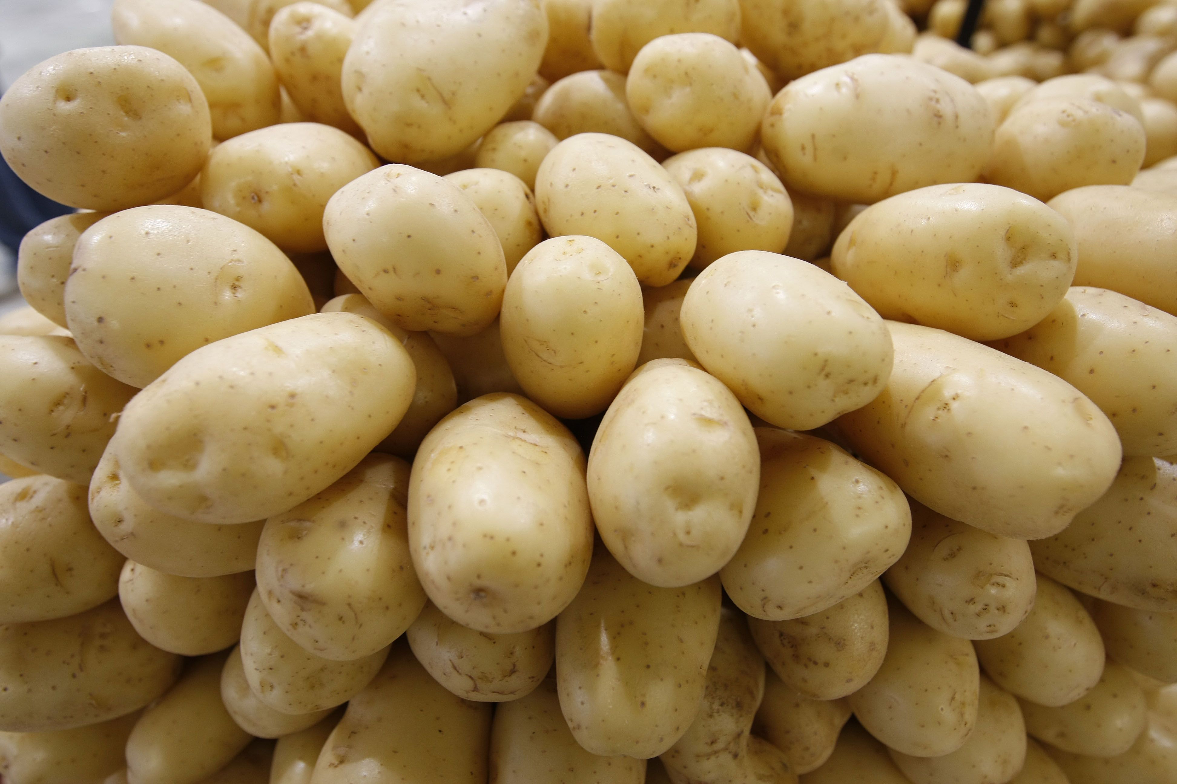 A batata foi o produto que mais subiu no mês de novembro em Curitiba. Alta de quase 20% | Valterci Santos/Agência de Notícias Gazeta do Povo