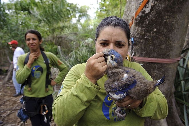 O projeto, idealizado em 1989 por Neiva Guedes, deu origem ao instituto |