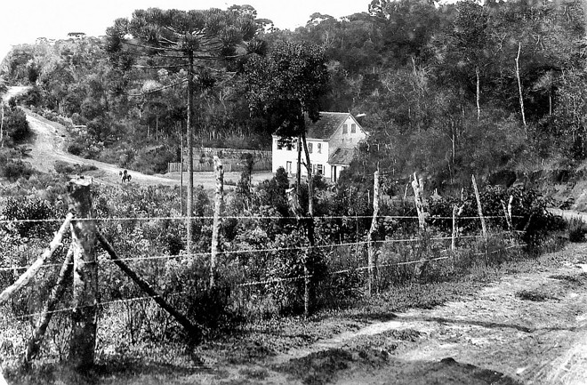 Atualmente, milhares de curitibanos trafegam por este local todos os dias. Em 1910, quando foi feita a foto, era uma estreita e sinuosa estradinha de carroças; hoje, é a imponente Avenida Manoel Ribas, em Santa Felicidade | 