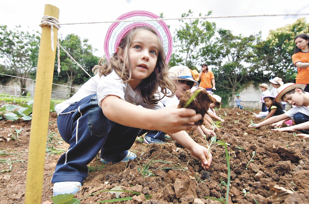 Na horta, além do contato com a terra e da alimentação mais saudável, conceitos de Matemática, Português e Ciências | Valterci Santos/Gazeta do Povo