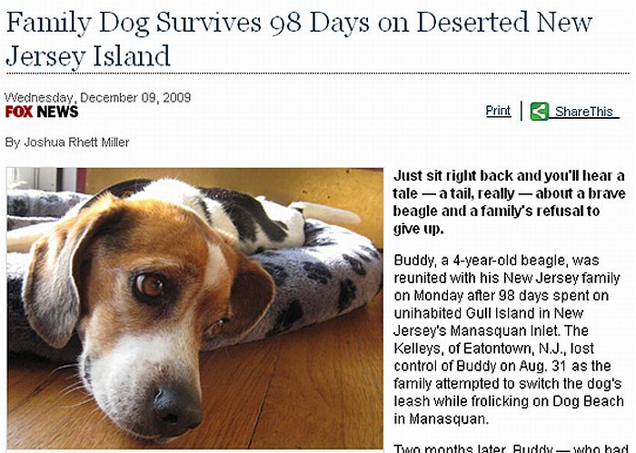 "Buddy", que tinha 15 quilos, voltou para casa pesando 8 | Reprodução/Fox News