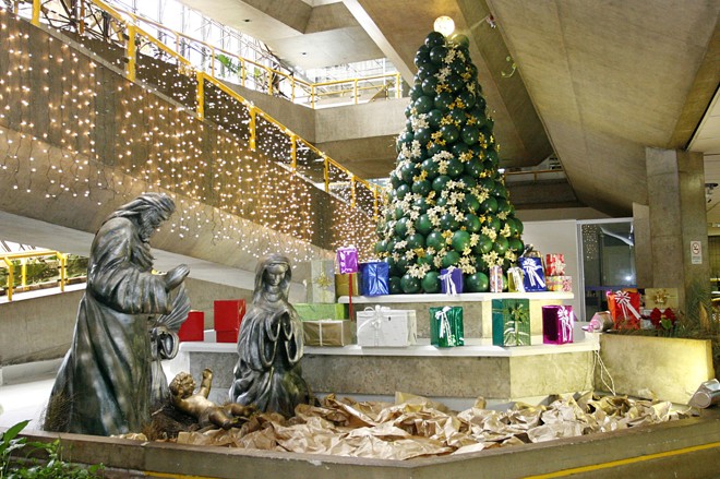 O Paço Municipal ganhou uma grande árvore, feita de material reciclável |