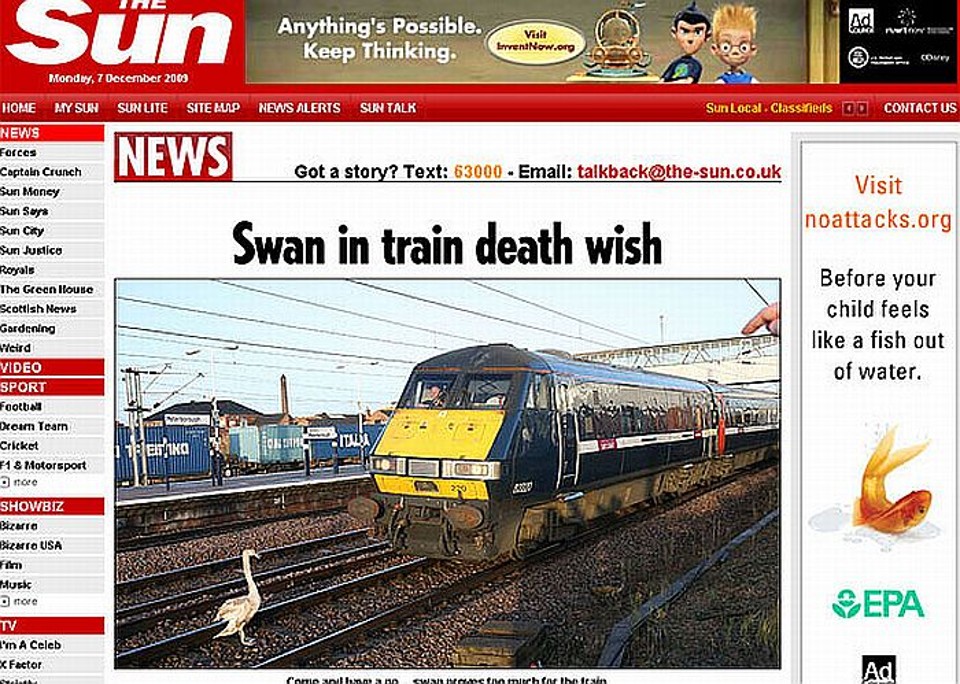 Cisne causou atraso de 40 minutos | Reprodução/The Sun