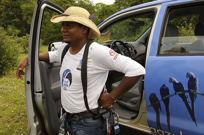 Idealizadora e coordenadora do projeto desde 1989 , o trabalho de Neiva Guedes se tornou Instituto Arara Azul em 2003 |