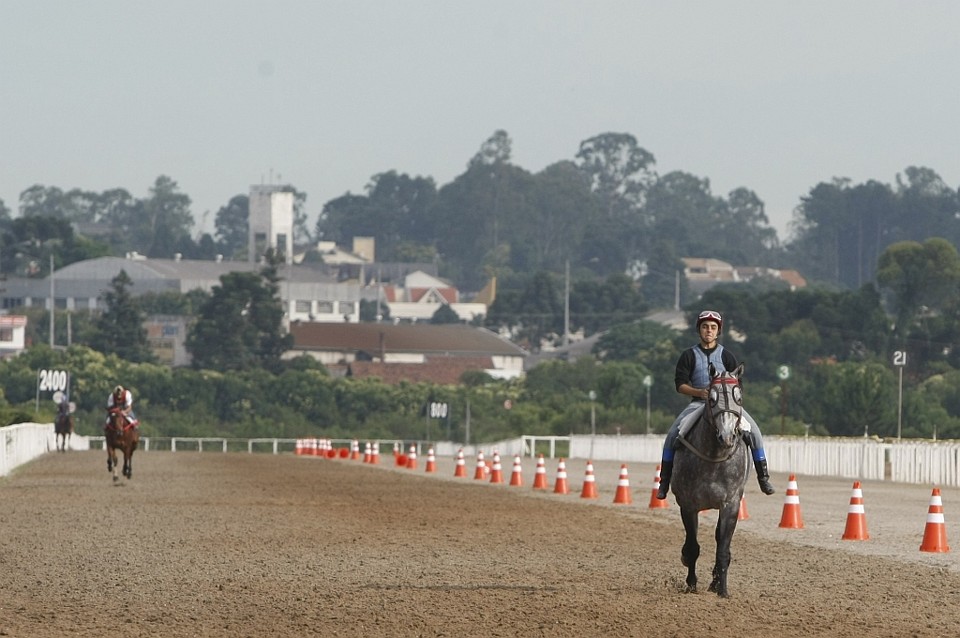 Reunião com 10 páreos é aperitivo para o Grande Prêmio Paraná Como parte das comemorações do 67.º GP Paraná, marcado para domingo, as pistas do Jockey Club estarão movimentadas de hoje até o fim de semana | Aniele Nascimento/ Gazeta do Povo
