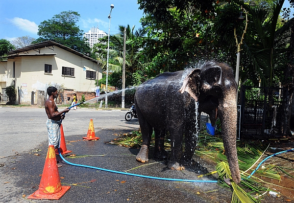  | Fotos: France Presse e Reuters