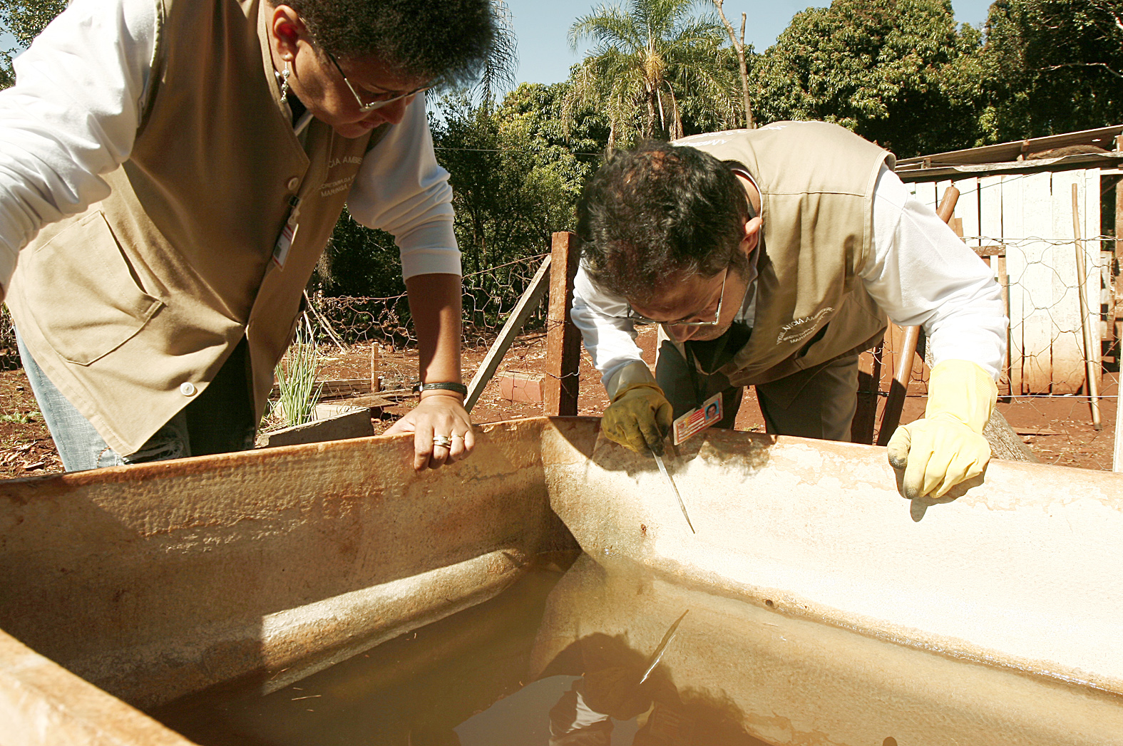 Com altas temperaturas e muitas chuvas, esta época do ano é propícia para a proliferação da doença | PMM