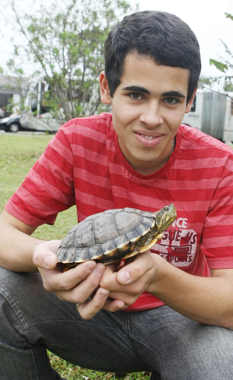 Em 6 de janeiro foi a única oportunidade que os biológos conseguiram observar o animal em Pontal do Paraná | Laboratório de Ecologia e Conservação/CEM/UFPR