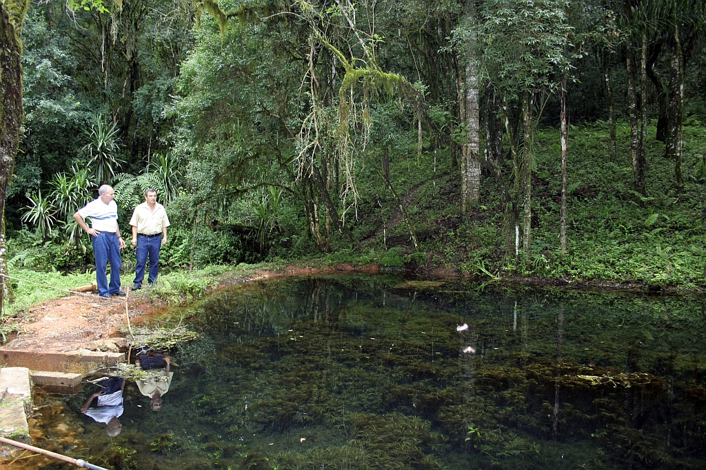 Área nos Campos Gerais faz ligação entre vegetação da Serra do Mar e divisa com São Paulo | Roberto Soares
