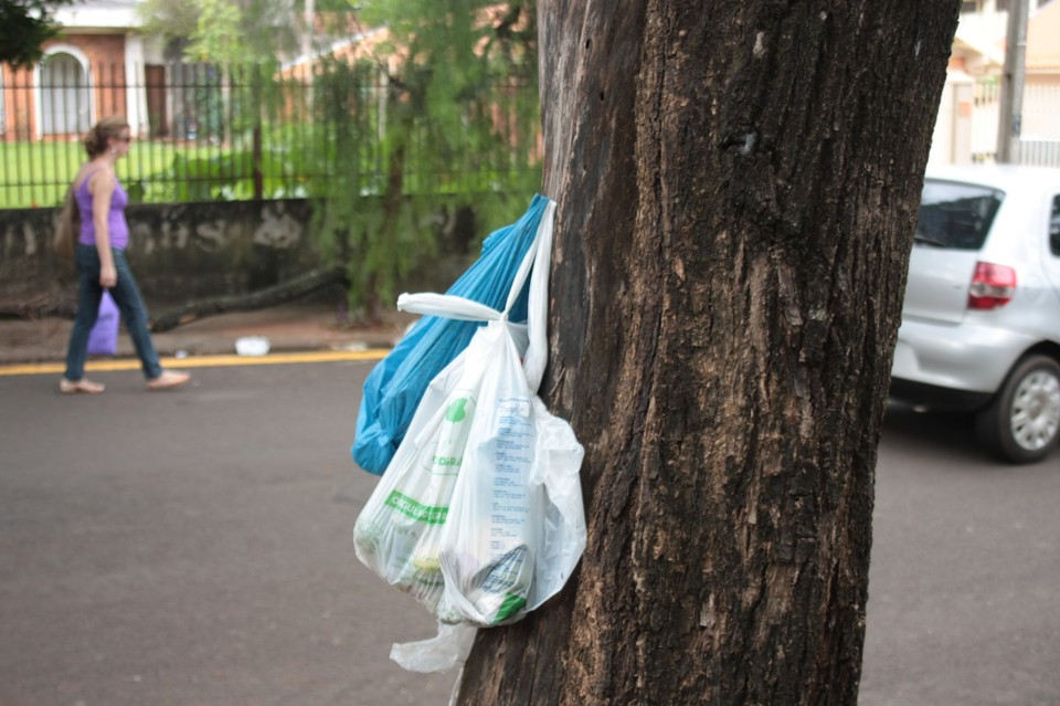 Na falta de lixeiras moradores penduram as sacolas nas árvores | Jônatas Lucizano