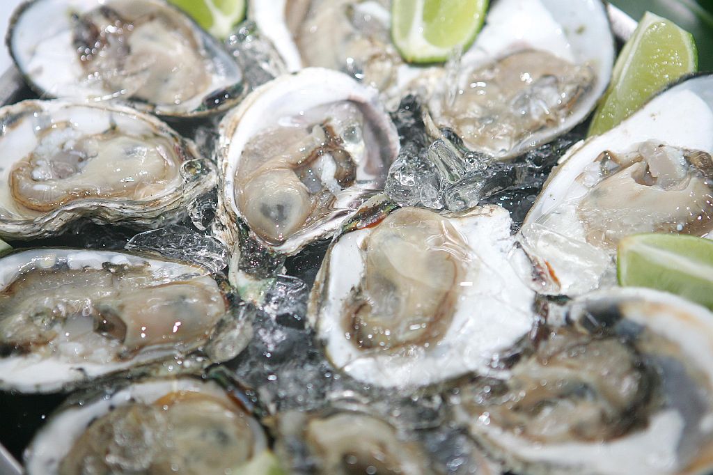 Ostras comercializadas no Mercado Municipal de Guaratuba passam por um processo chamado depuração, e ficam livres de bactérias | Pedro Serápio/Arquivo/Gazeta do Povo