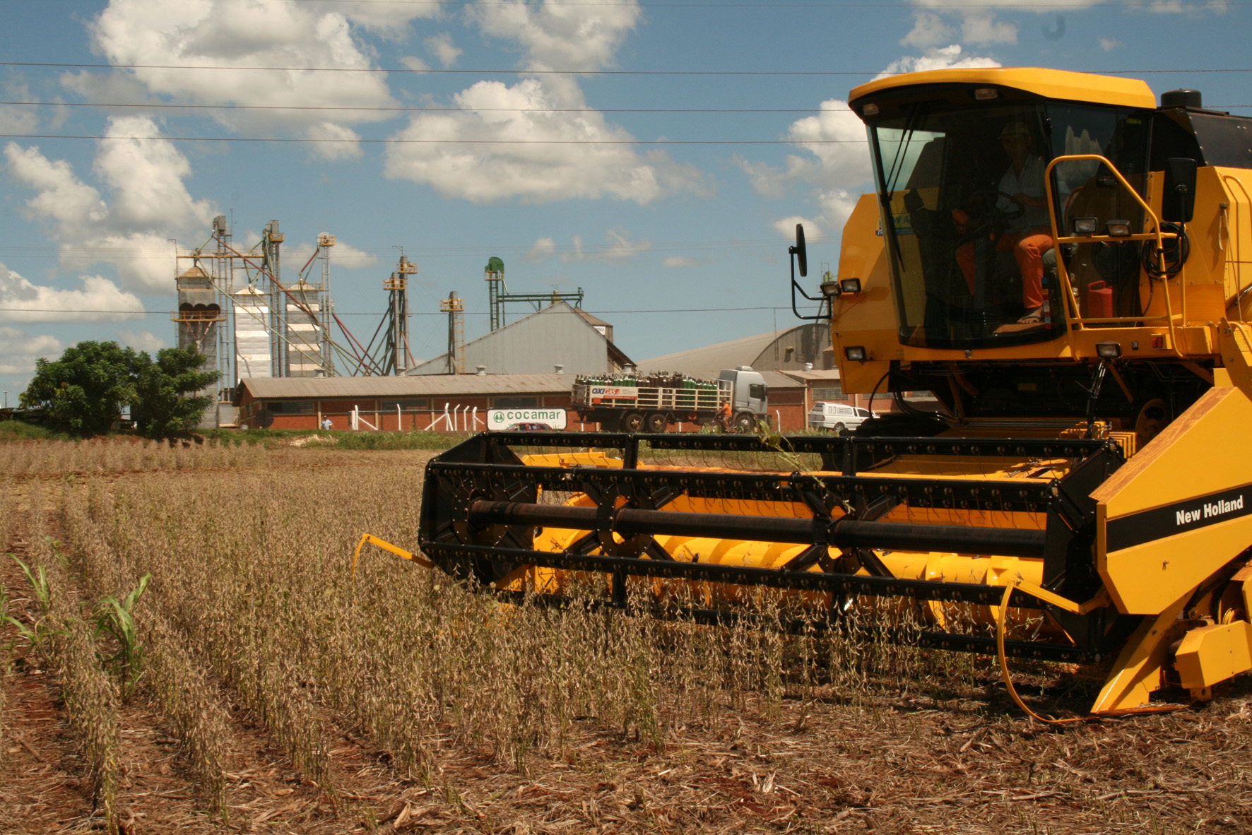 O recebimento de soja aumentou em três mil toneladas em 2009 e atingiu o patamar de 693 mil toneladas | Assessoria de Imprensa/Flamma Comunicação