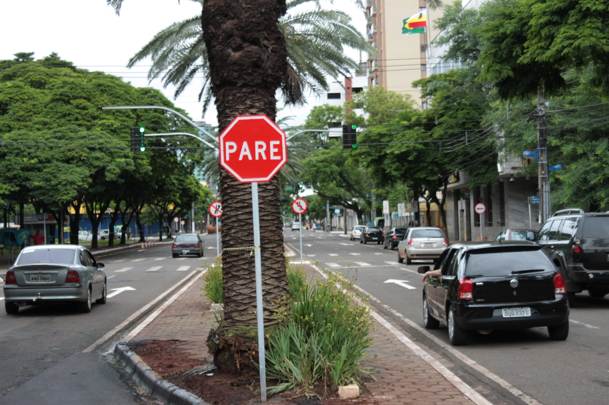 Para aproveitar onda verde, motoristas devem transitar a uma velocidade máxima de 50 quilômetros por hora | Jônatas Lucizano