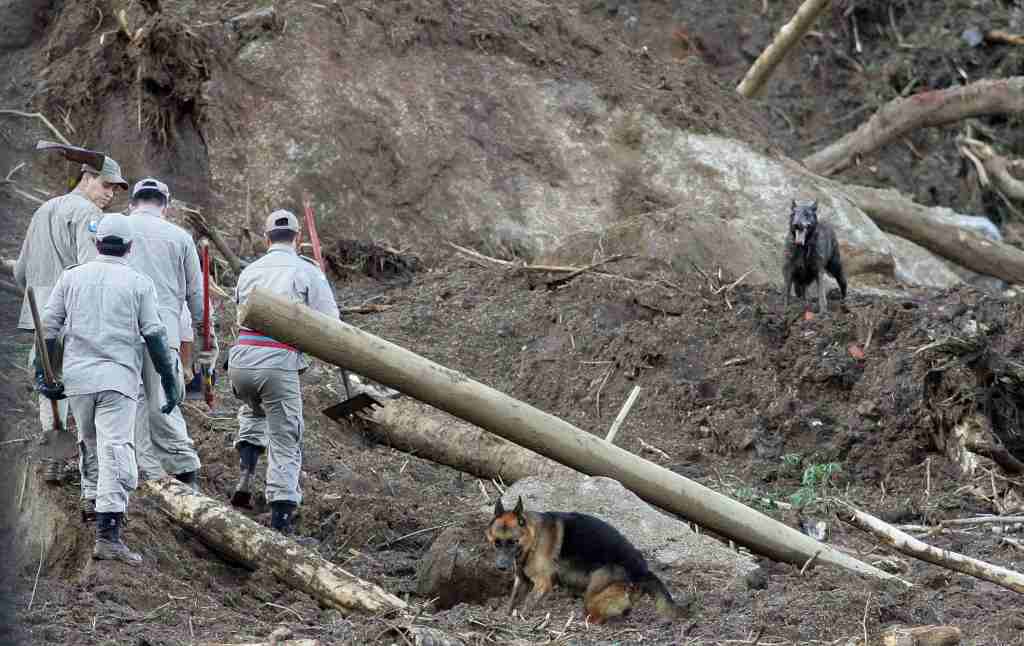 Bombeiros e cães farejadores buscam corpos de vítimas dos deslizamentos em Angra dos Reis | AFP