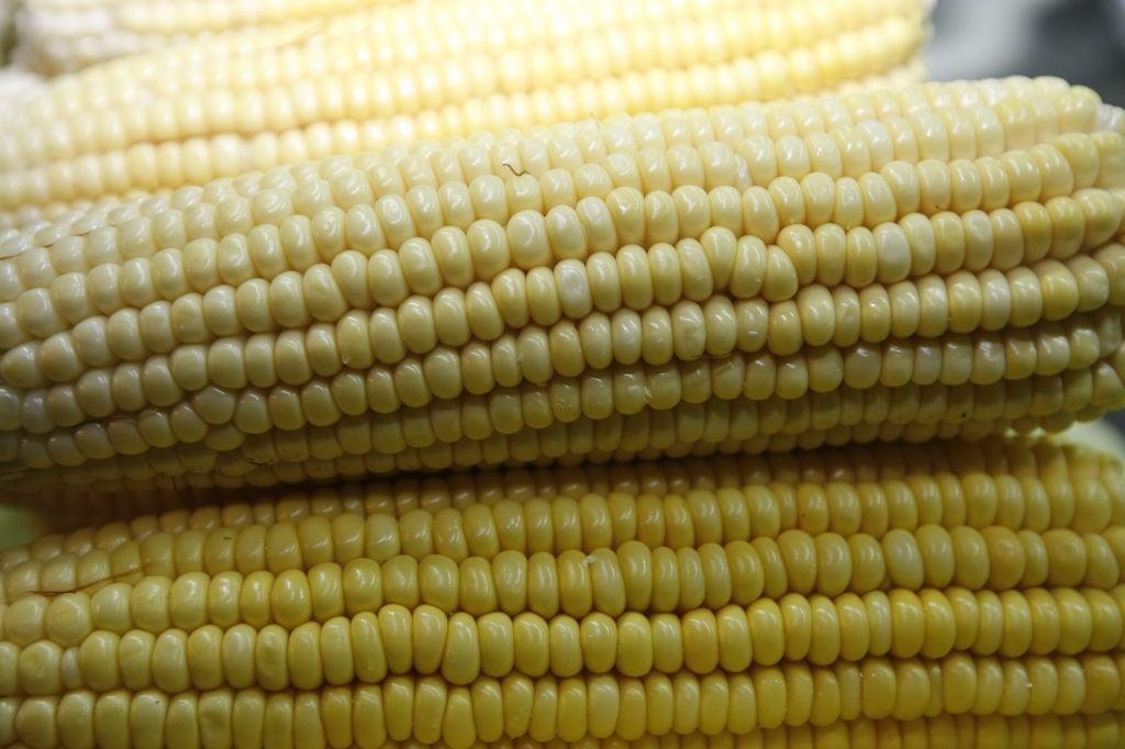 O milho cozido tem apenas 130 calorias. É uma boa opção para forrar o estômago antes do almoço. | Pedro Serápio/Gazeta do Povo