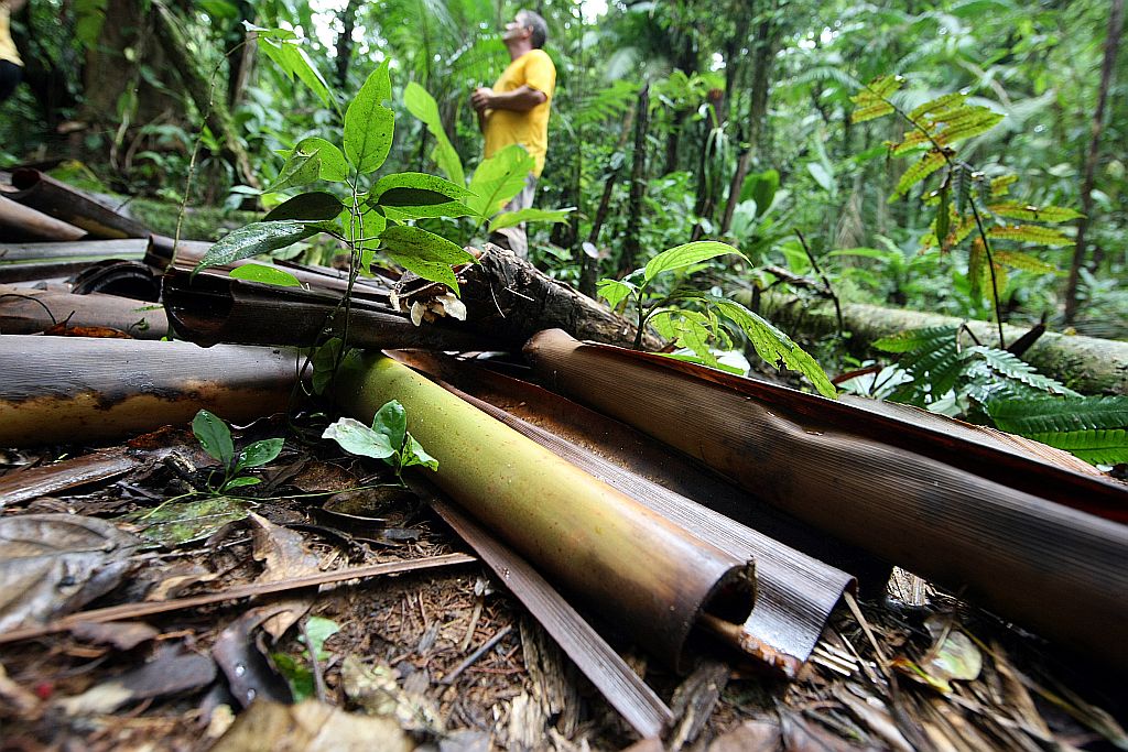 Antônio Lambergue, que trabalha na chácara: Nunca havia acontecido uma coisa assim, tão abusada. | Priscila Forone/Gazeta do Povo