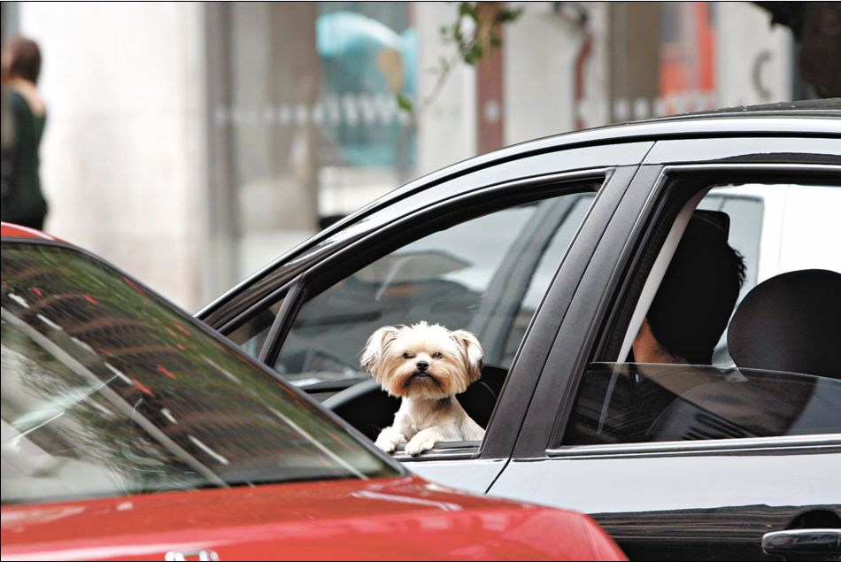 | Aniele Nascimento/ Gazeta do Povo