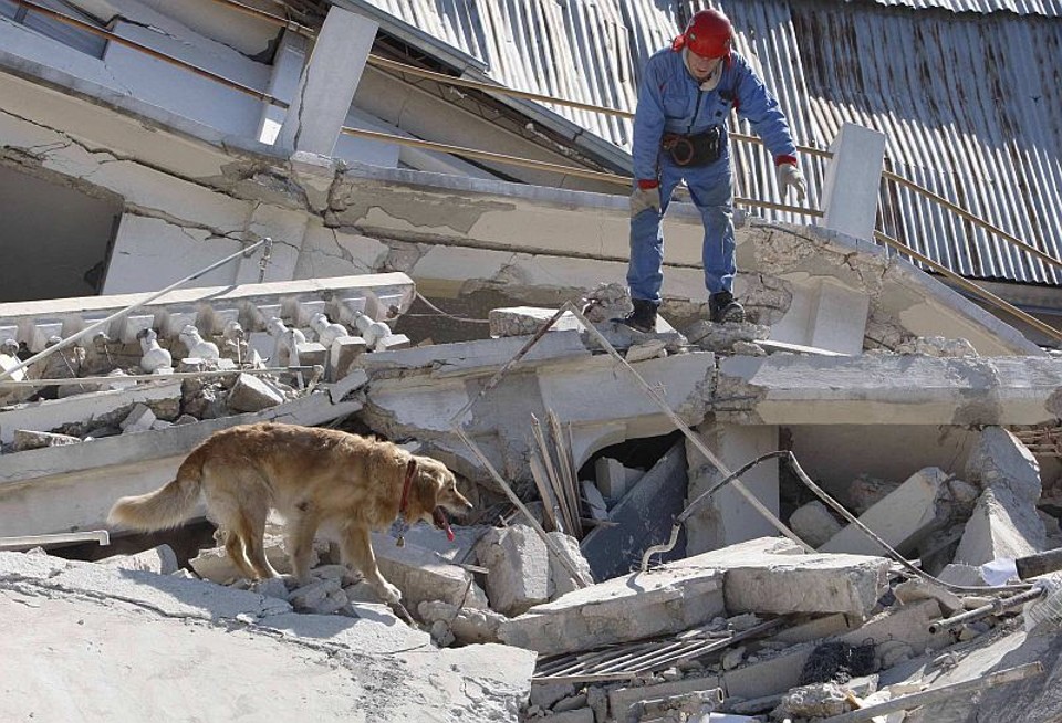 Cães ajudam na busca por corpos soterrados sob os escombros | Tatyana Makeyeva/Reuters