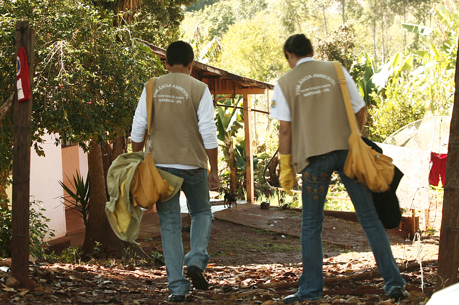 Trabalhos de combate ao mosquito Aedes aegypti foram intensificados em Maringá | Asessoria da Prefeitura de Maringá