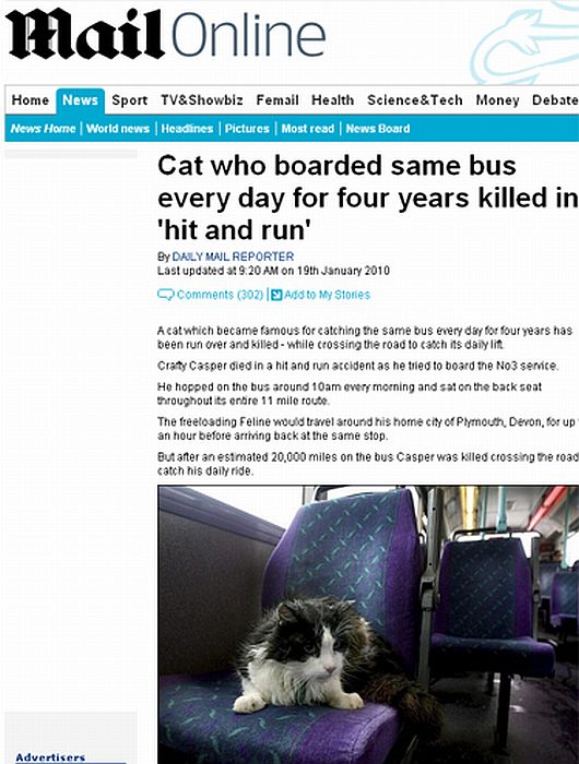 Casper sentava no mesmo banco dentro do ônibus Número 3 | Reprodução/Daily Mail