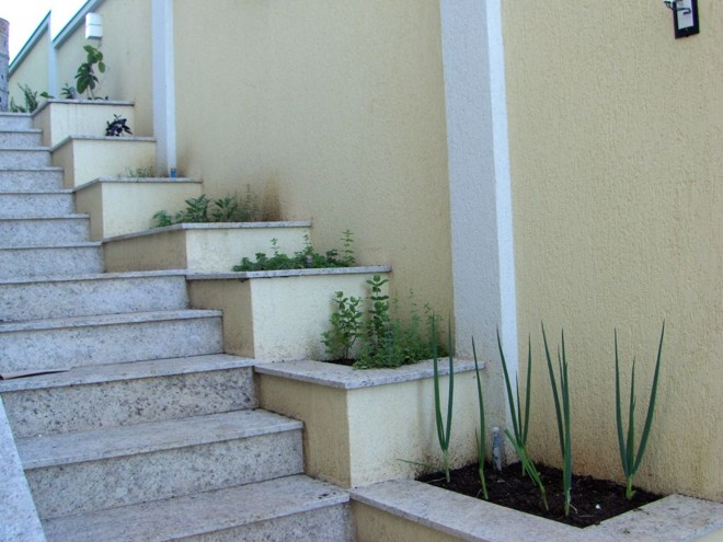 Solução inteligente: a paisagista Heloíza Rodrigues aproveitou o espaço da escada para montar uma horta | Heloíza Rodrigues/Divulgação
