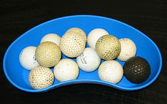 Cão precisou passar por cirurgia para retirar bolinhas de golfe | Divulgação