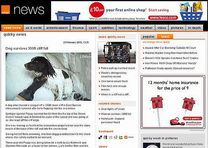 Poppy caiu de barriga na água e foi resgatada pelos bombeiros | Reprodução/Orange.co.uk